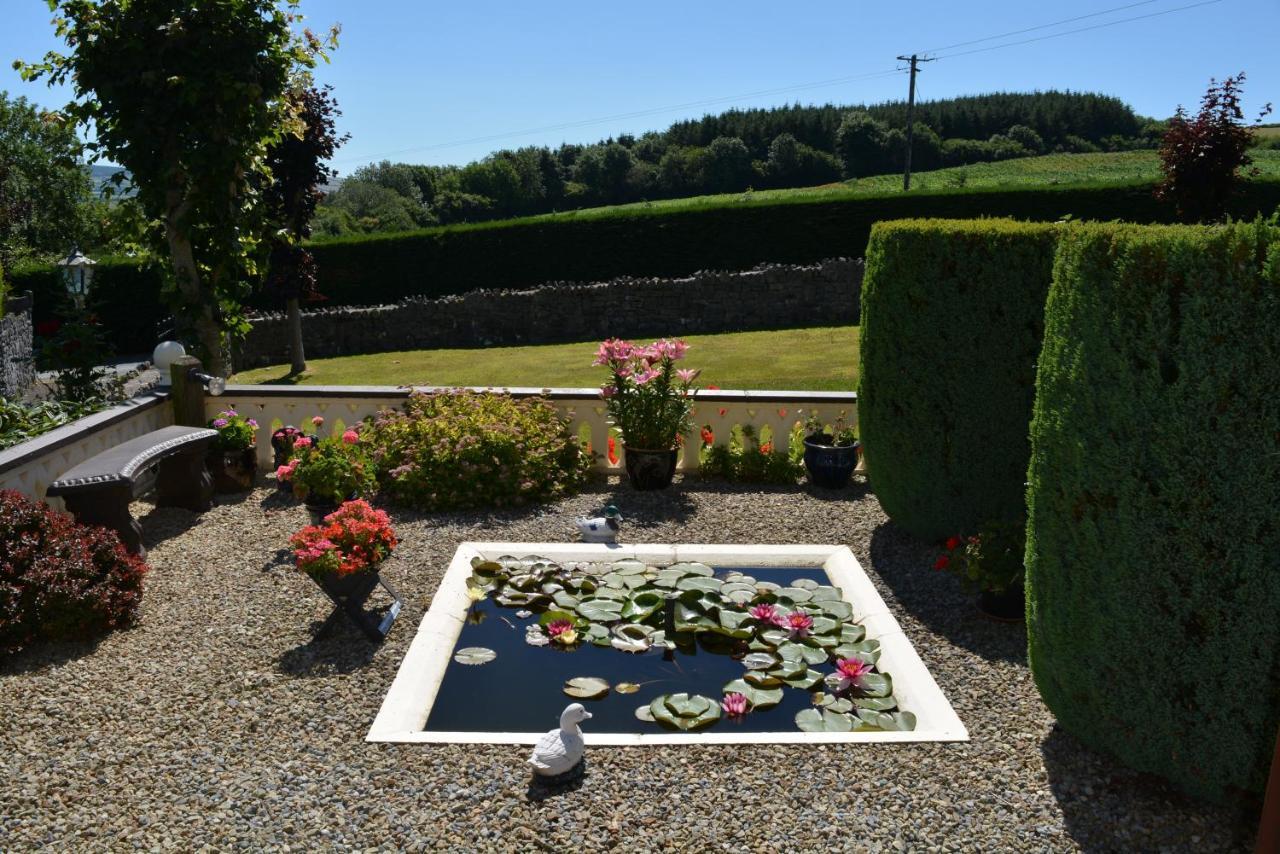 Weir View Bed And Breakfast Durrow Dış mekan fotoğraf